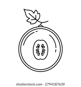 A black line drawing of a Honeydew Melon fruit slice