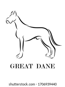 Black line drawing on white background of Great Dane dog. It is standing