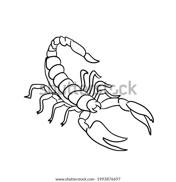 Black Line Drawing Scorpion Raising Tailisolated Stock Vector (Royalty ...