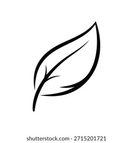 Un dibujo de línea negra de una sola forma de hoja sobre un fondo blanco liso.