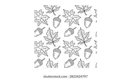 Black line drawings of maple leaves and acorns on white background