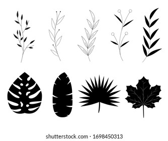 black line drawn of leave for spring season concept.