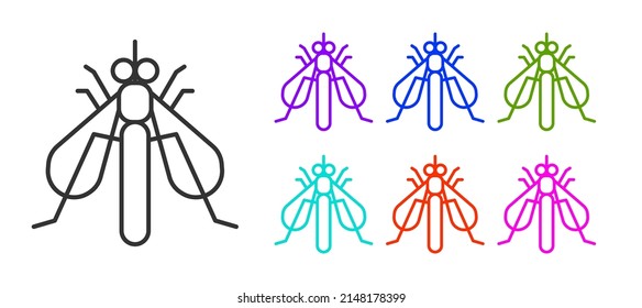 Black line Experimental insect icon isolated on white background. Set icons colorful. Vector