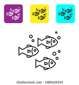 Black line Fish icon isolated on white background. Set icons colorful square buttons. Vector Illustration