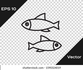 Black line Fish icon isolated on transparent background.  Vector Illustration