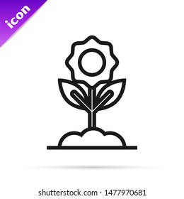 Black line Flower icon isolated on white background.  Vector Illustration