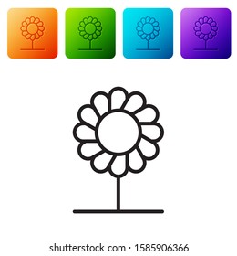 Black line Flower icon isolated on white background. Set icons in color square buttons. Vector Illustration
