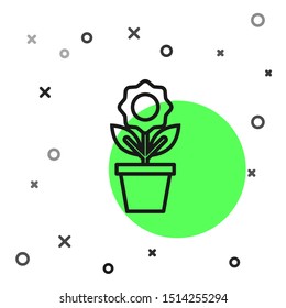 Black line Flower in pot icon isolated on white background. Plant growing in a pot. Potted plant sign.  Vector Illustration