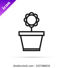 Black line Flower in pot icon isolated on white background. Plant growing in a pot. Potted plant sign.  Vector Illustration