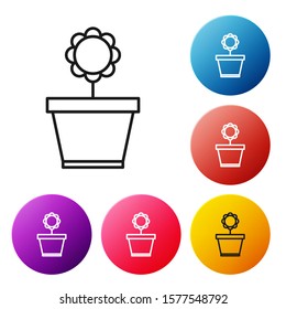 Black line Flower in pot icon isolated on white background. Plant growing in a pot. Potted plant sign. Set icons colorful circle buttons. Vector Illustration