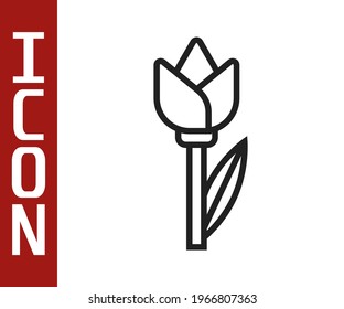 Black line Flower tulip icon isolated on white background.  Vector