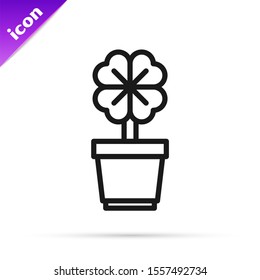 Black line Four leaf clover in pot icon isolated on white background. Happy Saint Patrick day.  Vector Illustration