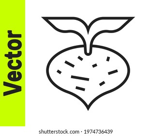 Black line Fresh beet with leaf icon isolated on white background. Natural Root. Vegetable Ingredient for food.  Vector