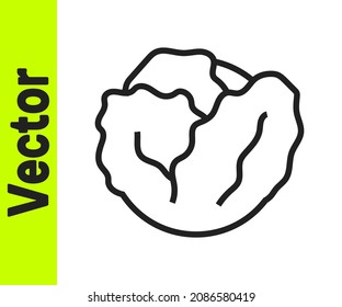 Black line Fresh cabbage vegetable icon isolated on white background.  Vector