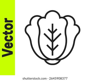 Linha preta Ícone vegetal de repolho fresco isolado no fundo branco.  Vetor