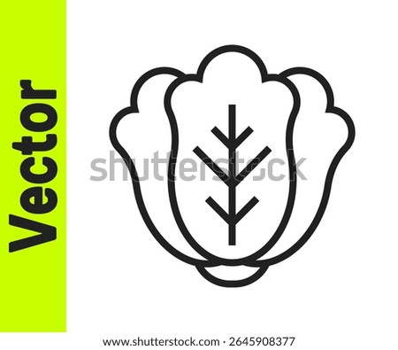 Black line Fresh cabbage vegetable icon isolated on white background.  Vector