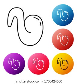 Black line Fried chicken wing icon isolated on white background. Set icons colorful circle buttons. Vector Illustration