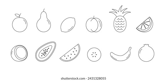 Black line fruit set. Tropical outline fruits. Linear style vector illustration isolated on white background.