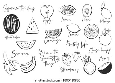 Black line fruits and quotes illustration set. Graphic vector sketch in hand drawn style. Fresh tropical elements on white background.