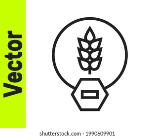 Black line Gluten free grain icon isolated on white background. No wheat sign. Food intolerance symbols.  Vector