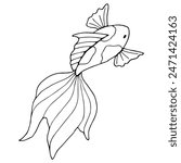 Black line graphics of fish. Outline drawing with sea animal koi fish. Stylized linear sketch of children