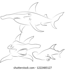 Black line hammerhead sharks on white background. Hand drawing vector graphic fish. Sketch style. Animal illustration.