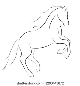 Black line horse on white background. Vector icon