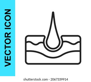 Black line Human hair follicle icon isolated on white background. Hair care treatment.  Vector