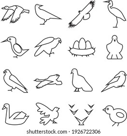 Black Line Icons On White Background Birds Wild