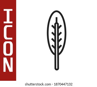 Black line Indian feather icon isolated on white background. Native american ethnic symbol feather.  Vector