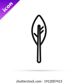 Black line Indian feather icon isolated on white background. Native american ethnic symbol feather.  Vector
