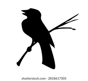 Black line Ink pen hand drawn cute tiny fly zoo tomtit wing tail beak pet retro art outline contour
logo emblem print style. Closeup view old flight plume tree bush eat meal food light sky text
space