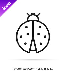 Black line Ladybug icon isolated on white background.  Vector Illustration