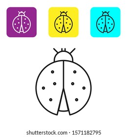 Black line Ladybug icon isolated on white background. Set icons colorful square buttons. Vector Illustration