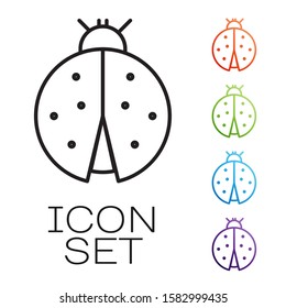 Black line Ladybug icon isolated on white background. Set icons colorful. Vector Illustration
