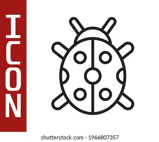 Black line Ladybug icon isolated on white background.  Vector