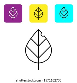 Black line Leaf icon isolated on white background. Fresh natural product symbol. Set icons colorful square buttons. Vector Illustration