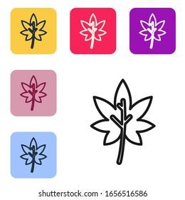 Black line Leaf icon isolated on white background. Leaves sign. Fresh natural product symbol. Set icons in color square buttons. Vector Illustration