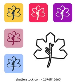 Black line Leaf icon isolated on white background. Leaves sign. Fresh natural product symbol. Set icons in color square buttons. Vector Illustration