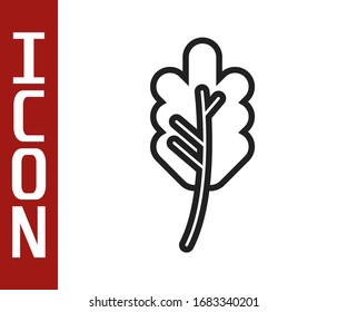 Black line Leaf icon isolated on white background. Leaves sign. Fresh natural product symbol.  Vector Illustration