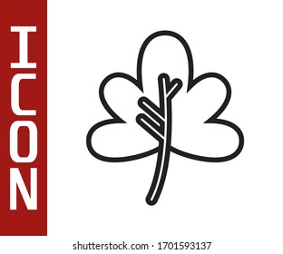 Schwarze Linie Leaf Symbol einzeln auf weißem Hintergrund. Bleischild. Symbol für frisches Naturprodukt. Vektorillustration-Illustration