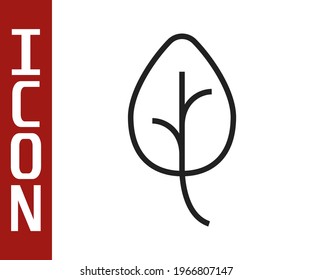 Icono de la hoja de línea negra aislado fondo de línea negra. Deja la señal. Símbolo de producto natural fresco.  Vector