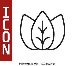Black line Leaf icon isolated Black line background. Leaves sign. Fresh natural product symbol.  Vector