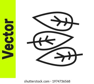 Black line Leaf icon isolated on white background. Leaves sign. Fresh natural product symbol.  Vector