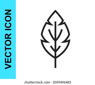 Icono de hoja de línea negra aislado en fondo blanco. Deja la señal. Símbolo de producto natural fresco.  Vector