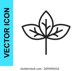 Icono de hoja de línea negra aislado en fondo blanco. Deja la señal. Símbolo de producto natural fresco.  Vector