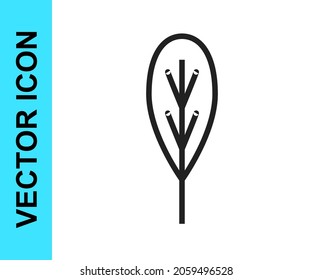 Schwarze Linie Leaf Symbol einzeln auf weißem Hintergrund. Bleischild. Symbol für frisches Naturprodukt.  Vektorgrafik