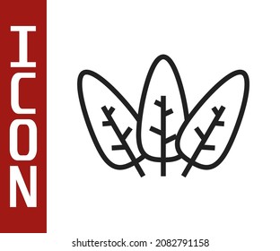 Black line Leaf icon isolated on white background. Leaves sign. Fresh natural product symbol.  Vector
