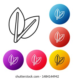 Black line Leafs icon isolated on white background. Fresh natural product symbol. Set icons colorful circle buttons. Vector Illustration