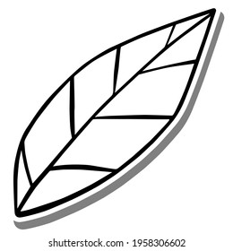 Black line a lovely leaf on white silhouette and gray shadow. Hand drawn cartoon style. Doodle for decoration or any design. Vector illustration of nature flower.